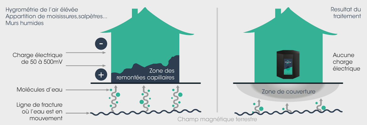 Diagnostic humidité : déroulement, causes humidité, travaux